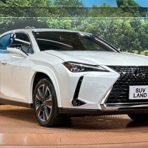 2023 LEXUS UX 6AA-MZAH10 2WD
