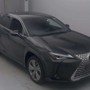 2023 LEXUS UX 6AA-MZAH10