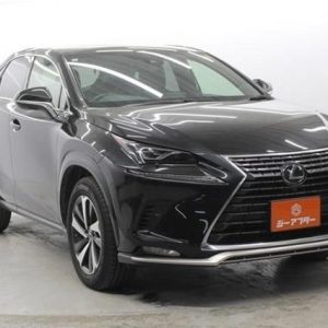 2020 LEXUS NX 3BA-AGZ10 2WD