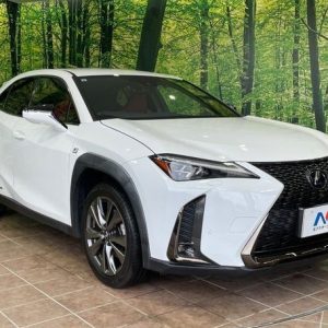 2019 LEXUS UX 6AA-MZAH10 2WD