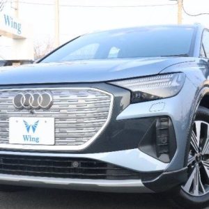 2025 AUDI OTHERS FZEDF
