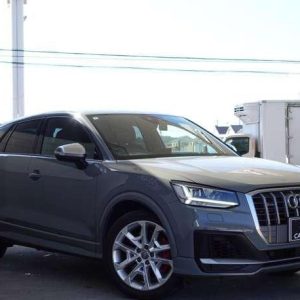 2020 AUDI SQ2 GADNUF